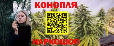 молекула духа Донецк
