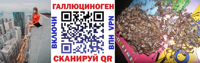 Галлюциногенные грибы прущие грибы  Магадан 