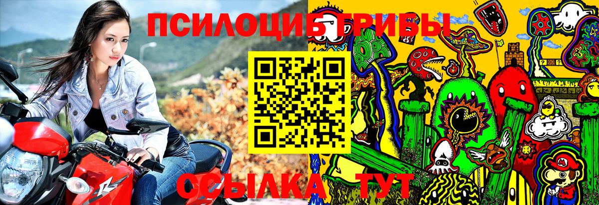 наркотики  Галлюциногенные грибы мицелий  Вход с VPN  Магадан 