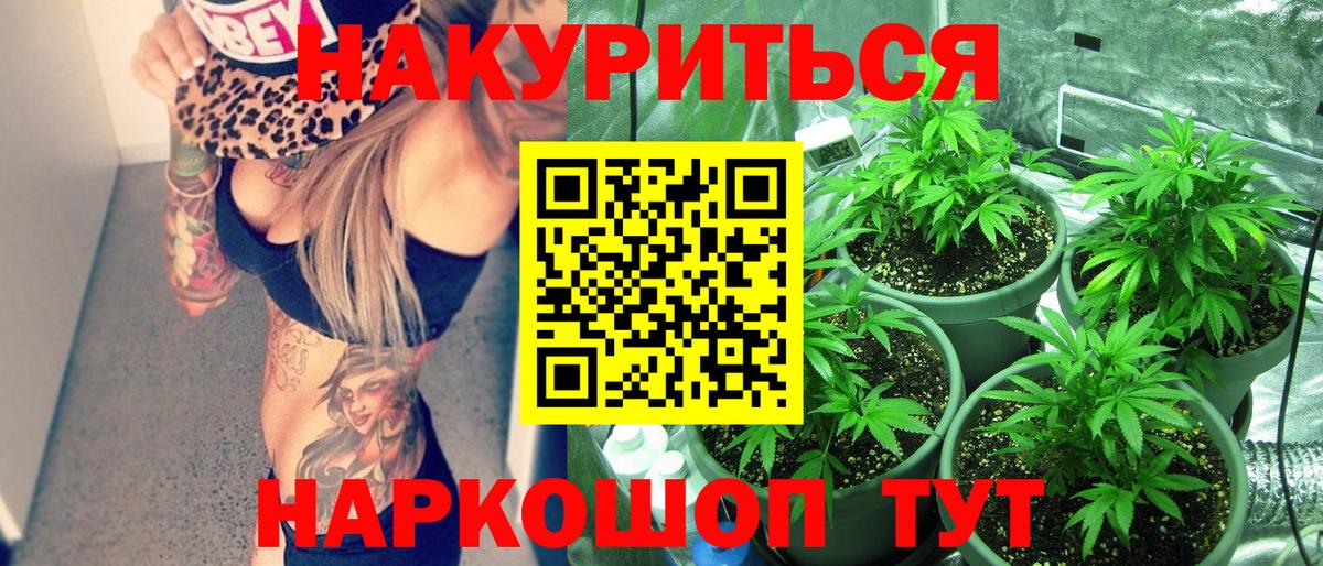 Шишки марихуана сатива  Вход с VPN  Каннабис план  Магадан 